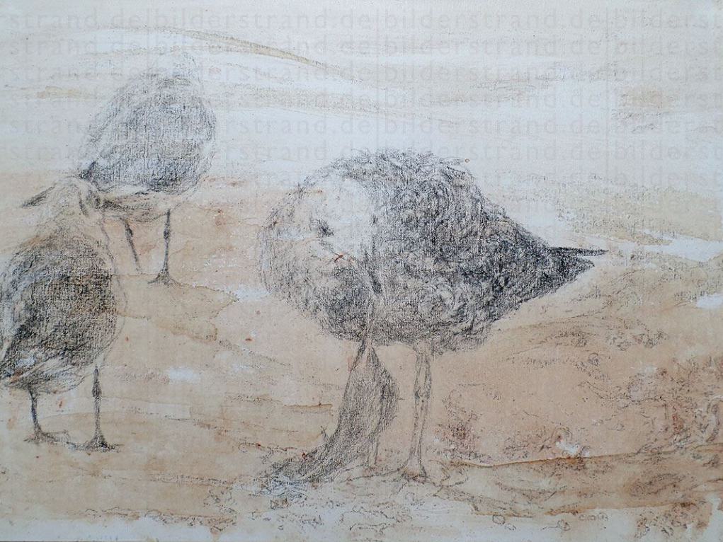 Möwen (3), Lithokreide auf Karton, 50 x 70 cm, 2017
