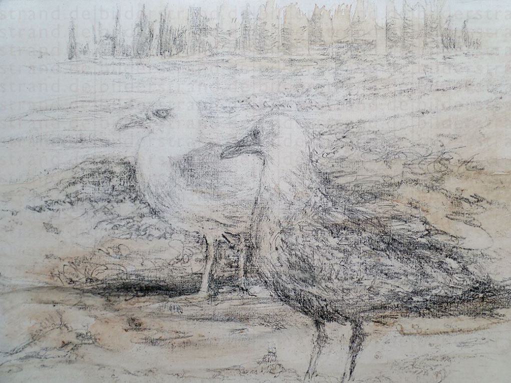 Möwen (4), Lithokreide auf Karton, 50 x 70 cm, 2017